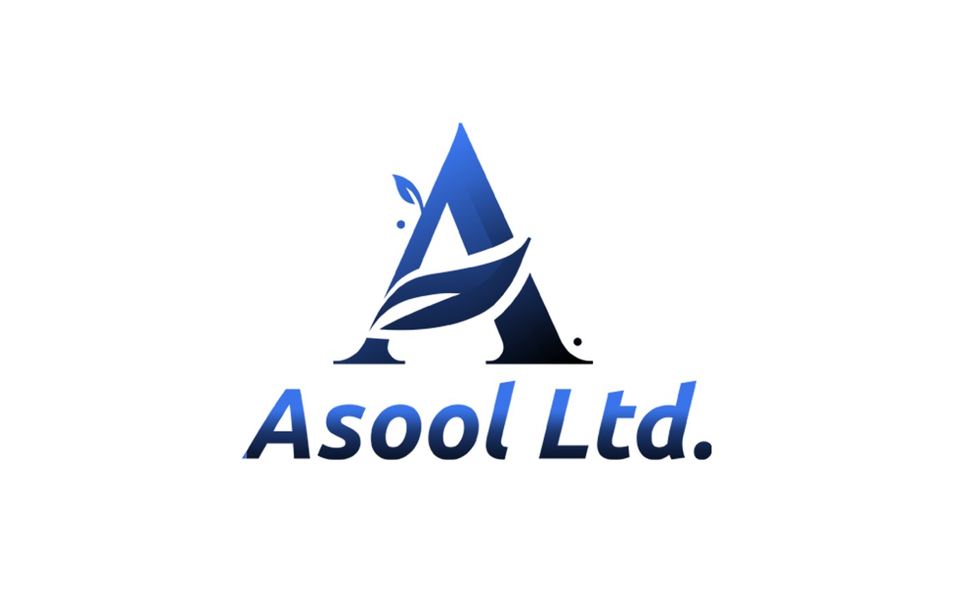 Asool Ltd. — 2