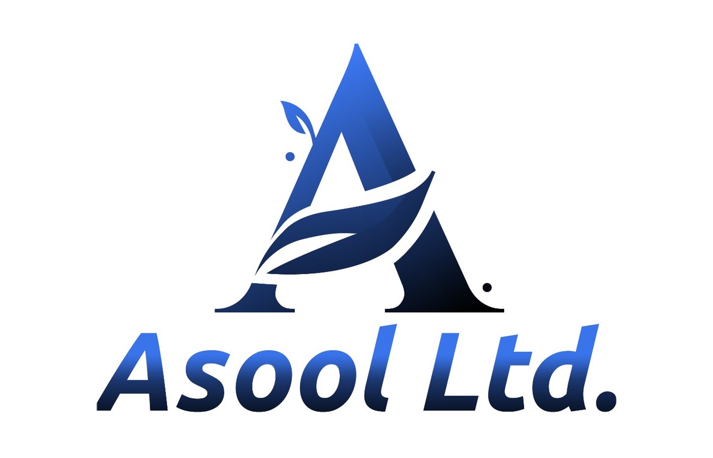 Asool Ltd. — 3
