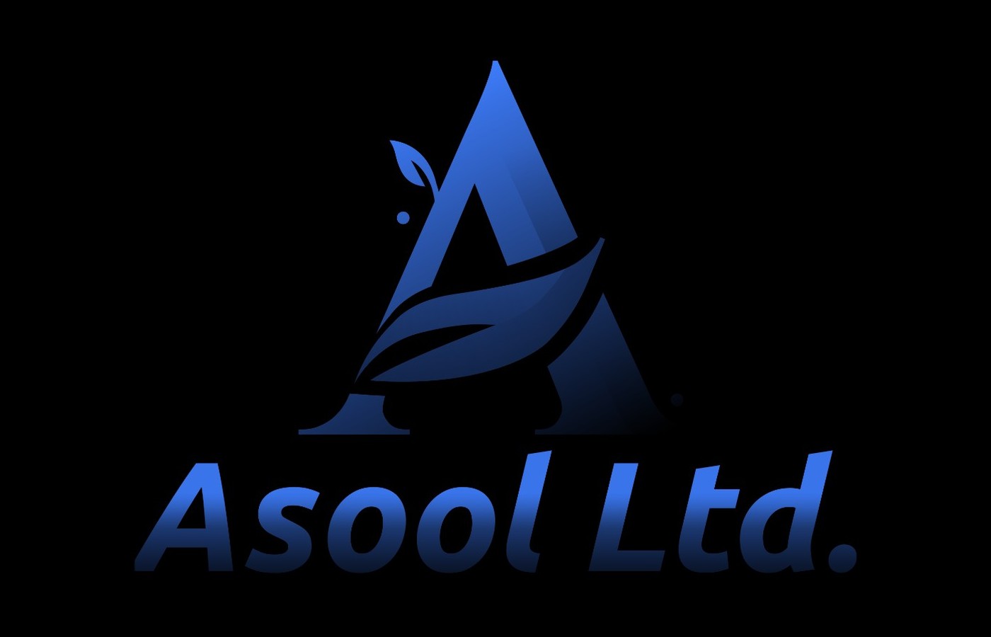Asool Ltd. — 4